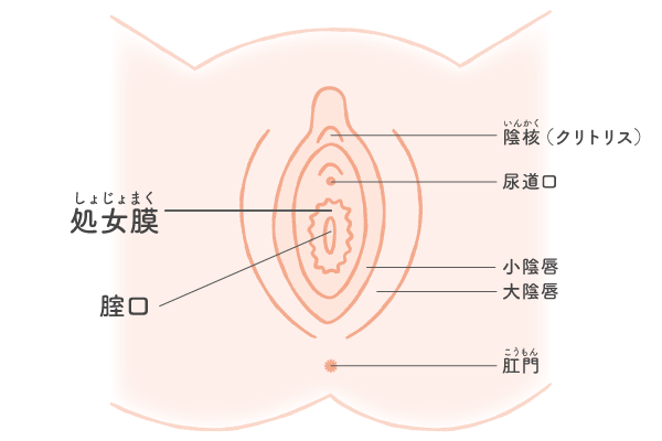 漫画でわかる！】初めてのポリネシアンセックス～心で繋がるラブタイム～