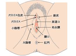 アナルクンニの気持ちいいやり方｜事前にしておくべき鉄板の秘訣とは