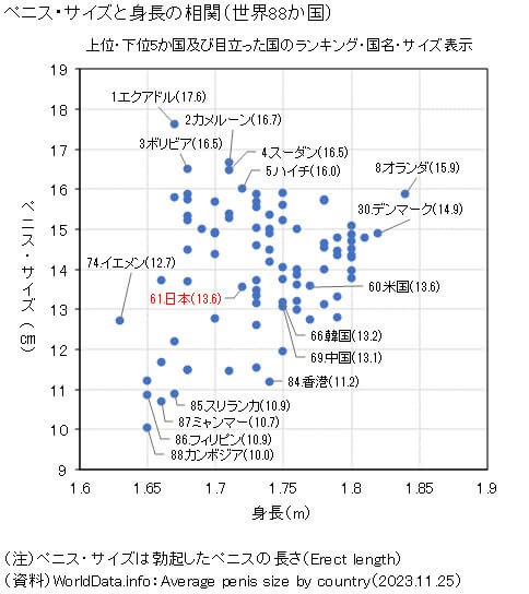 日本人のペニスサイズ調査～調査の方法 | 男性生殖器マニア