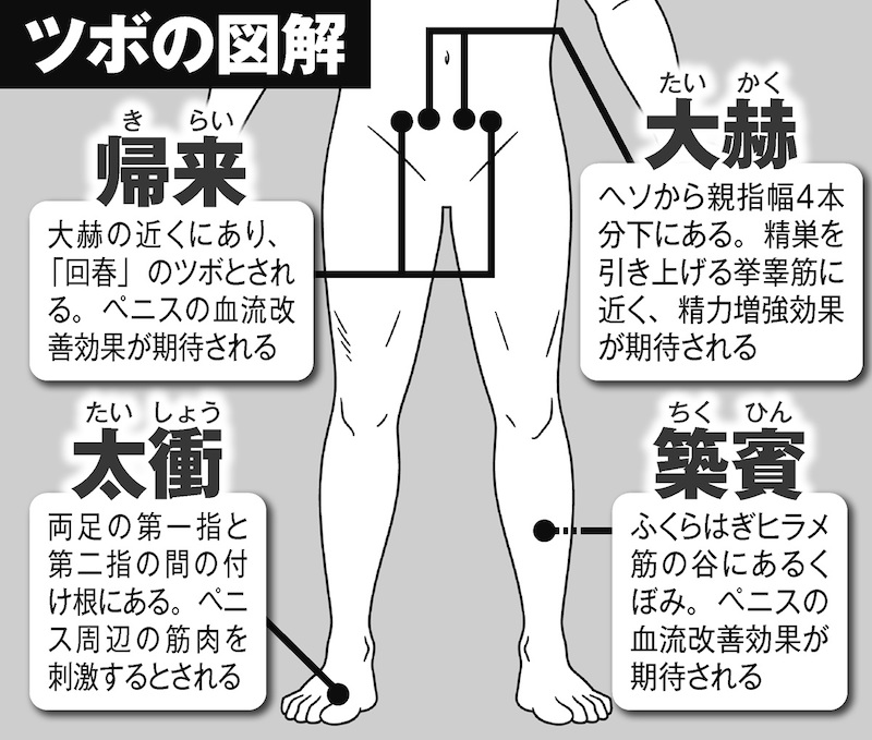 精力回復に効くツボ「横骨（おうこつ）」の効果とは？ | 精力増強クラブ【使ったものだけアイテムを徹底レポート】