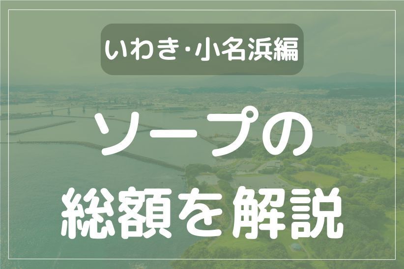 最新】名古屋の高級ソープ おすすめ店ご紹介！｜風俗じゃぱん