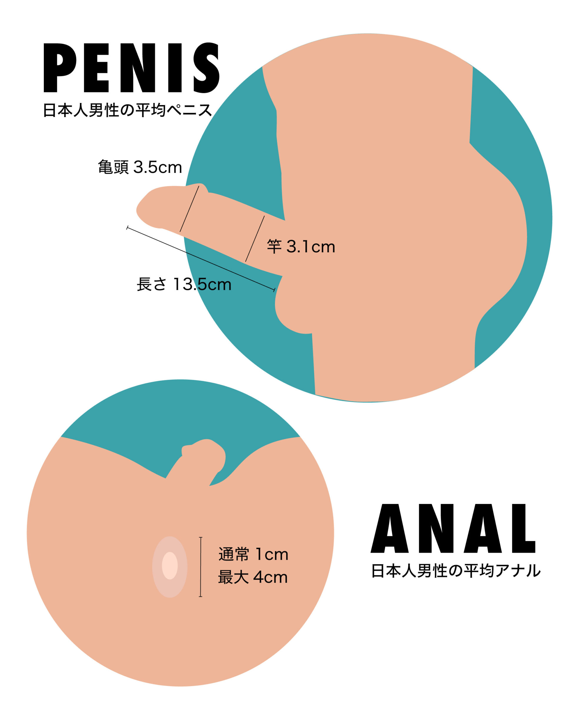 自撮り〉指を使ったアナルオナニー初出しです(/ω＼)実はお尻の穴も大好きで、お尻の穴でもイッちゃうんです(&gt;_&lt;)  FC2-PPV-1853017