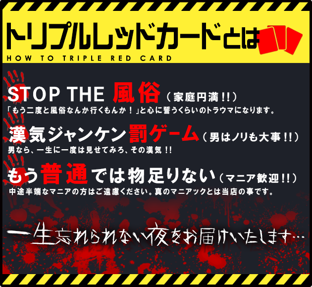 ホルスタインのプロフィール｜トリプルレッドカード-アインズグループ｜風俗 大阪・東京・博多・沖縄