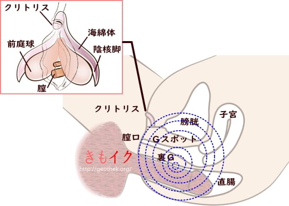 クローズアップケツ指マンと淫語、アナルオナニーオーガズム | xHamster