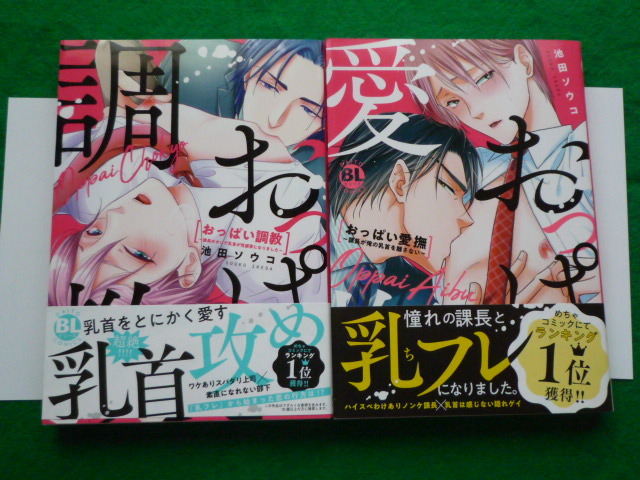 清楚ビッチ〜淫乱美女の拘束調教〜：緊縛・爆乳・巨乳・おっぱい丸出し・アヘ顔 | 電脳癒しの本屋さん | マンガ