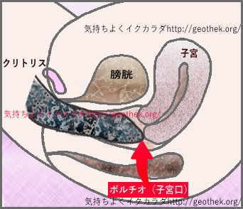 こんな快感知らないッ！？ 体外式ポルチオ開発で新たな扉を開け！【体外式ポルチオ系作品まとめ】 - DLチャンネル