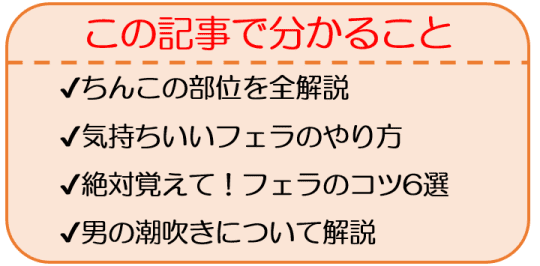 彼氏が喜ぶちんこの触り方・いじり方12選｜現役風俗嬢が男を絶頂させる方法