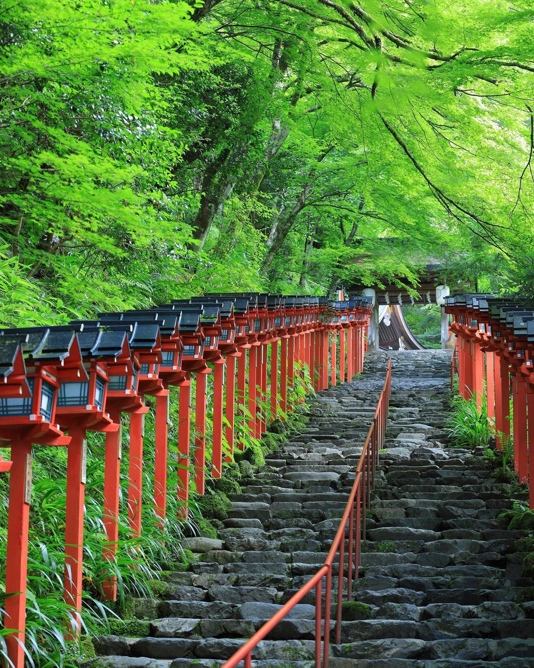 京都市、伝統産業や文化に触れる「京の夏の旅」キャンペーン、文化財特別公開や小人数制の特別体験｜トラベルボイス（観光産業ニュース）