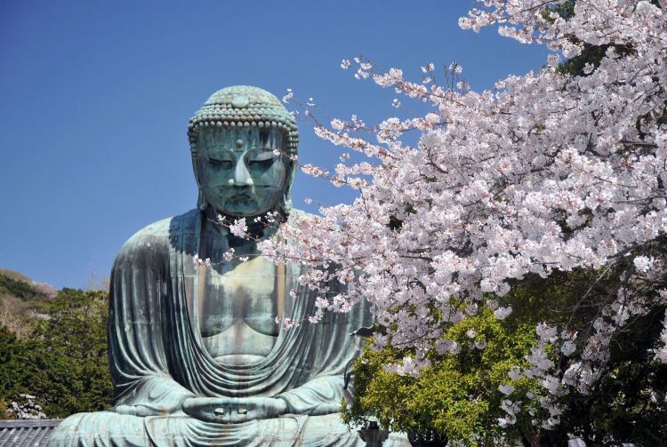 Buddha Statue Surrounded By Cherry