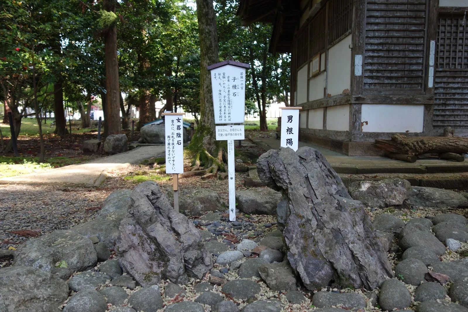 奇祭・大縣神社の豊年祭2015 ［愛知県］-人文研究見聞録