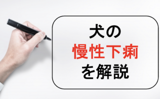 ディアバスター と ビオイムバスター はいつも助けてくれる強力な味方です。 |