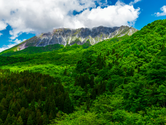 行き当たりバッチリin 鳥取県大山町: 【大山・山の家シーハイル】「大山町に泊まろうキャンペーンで、実際に泊まってみた」 Vol.3