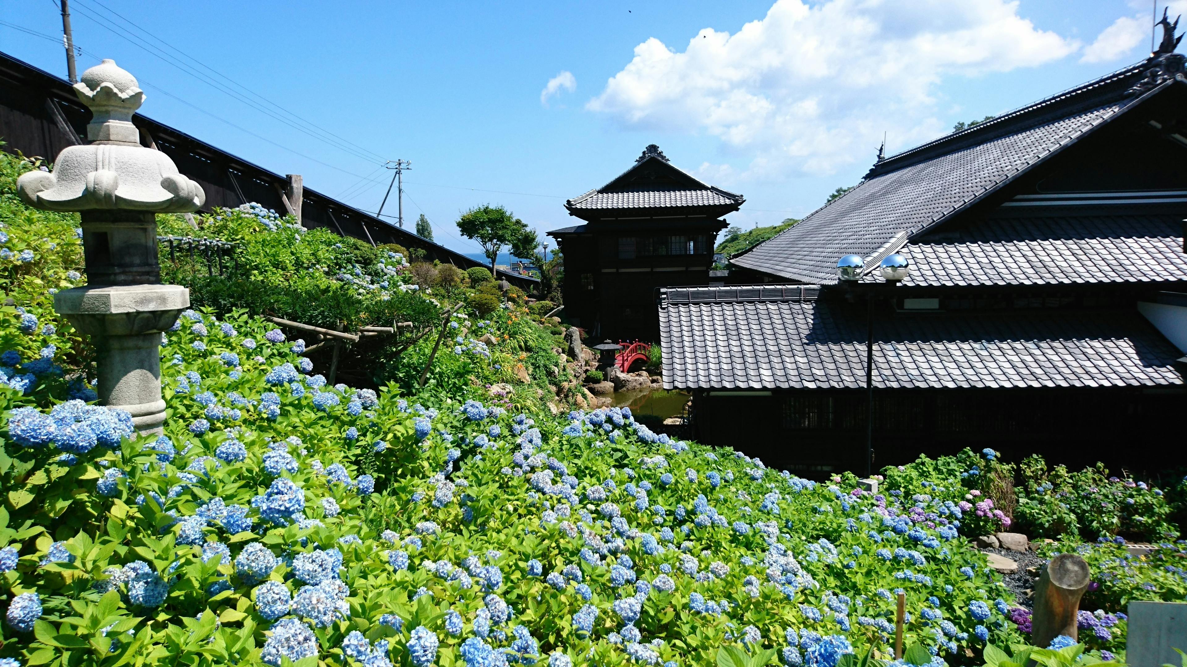 重要文化財｜旧福岡県公会堂 貴賓館】 行き方、見学のしかた （福岡市） :