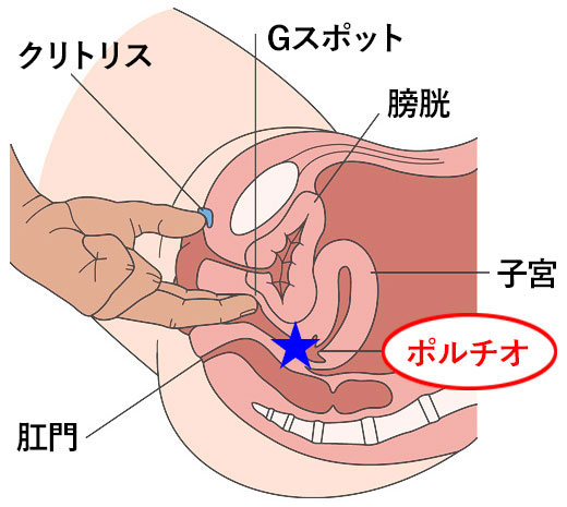 50%OFF】男の子だって中イキしたい!〜お腹がじんわり温かくなる♀イキ精嚢オーガズム〜 [空心菜館] | DLsite