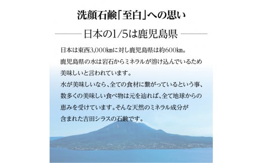 お客様の声 | 【公式】鹿児島オリーブ