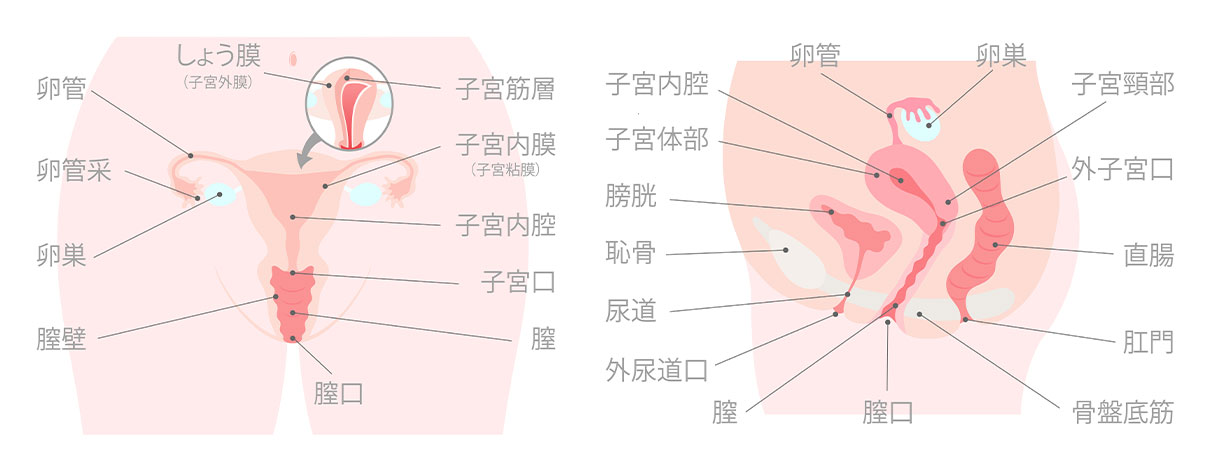 性器を2つ持つ女！霊長類最強口マ○コ&吸いつく膣壁オマ○コで精子を全量搾取！！【射精1】ジュボジュボ口マ○コフェラ【射精2】あかりんの全自動オナホ正常位【射精3】トロトロ生マ○コに中出し【射精4】お掃除フェラでまさかのもう一発！！＜エロい娘限定ヤリマン数珠  