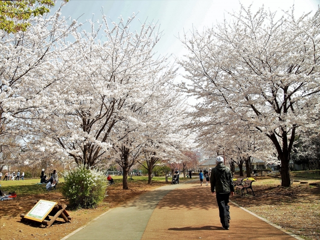 西東京いこいの森公園 | いこいの森と周辺の市立公園