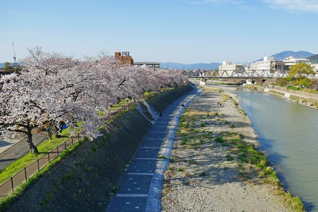 京都河原町三条店でひとくちサイズの林檎飴を楽しもう！