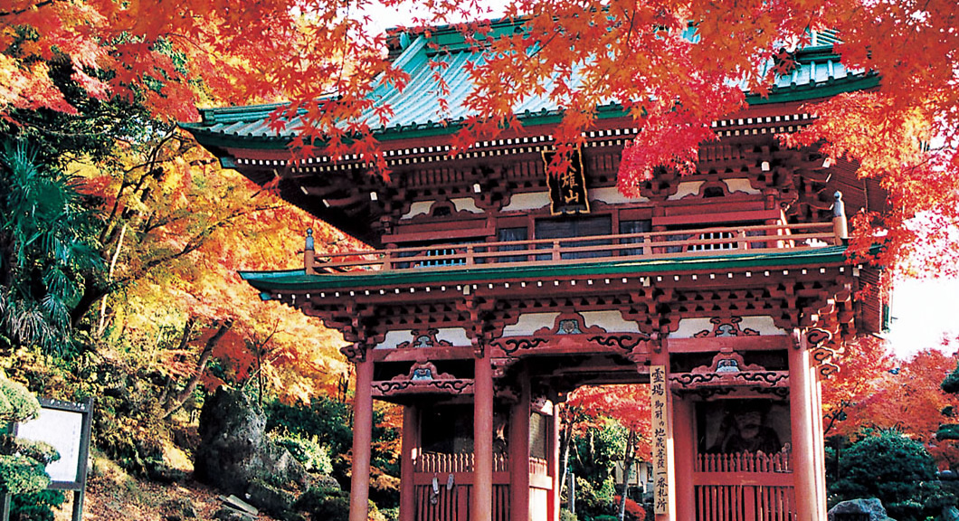 未来をここから » デジタルデータのエラーも作品に 写真家・小山泰介が撮る“いま”の東京の風景