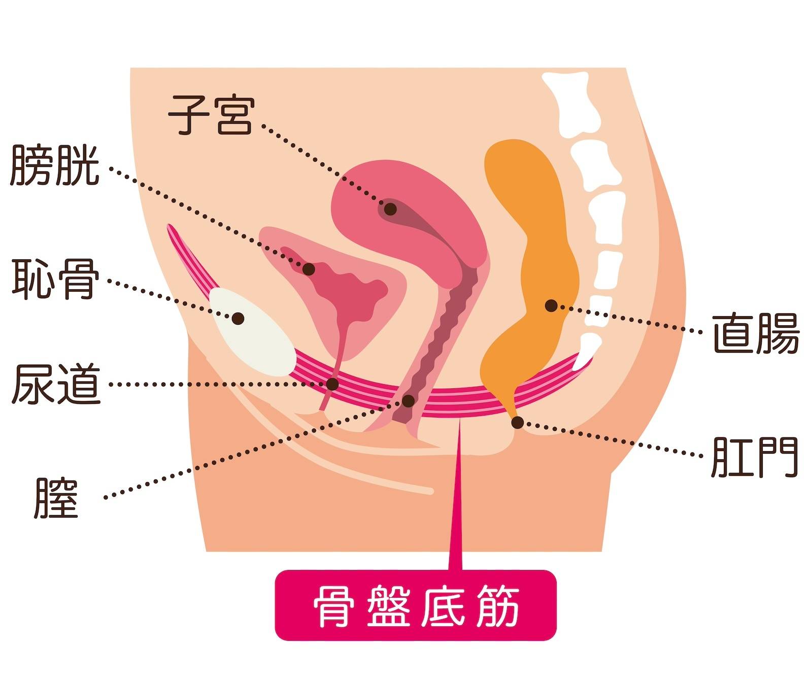 H(エッチ)にはどれくらい時間をかけるのが正解!?「私たちが、Hのお悩みに答えます」 メンズノンノウェブ | MEN'S NON-NO