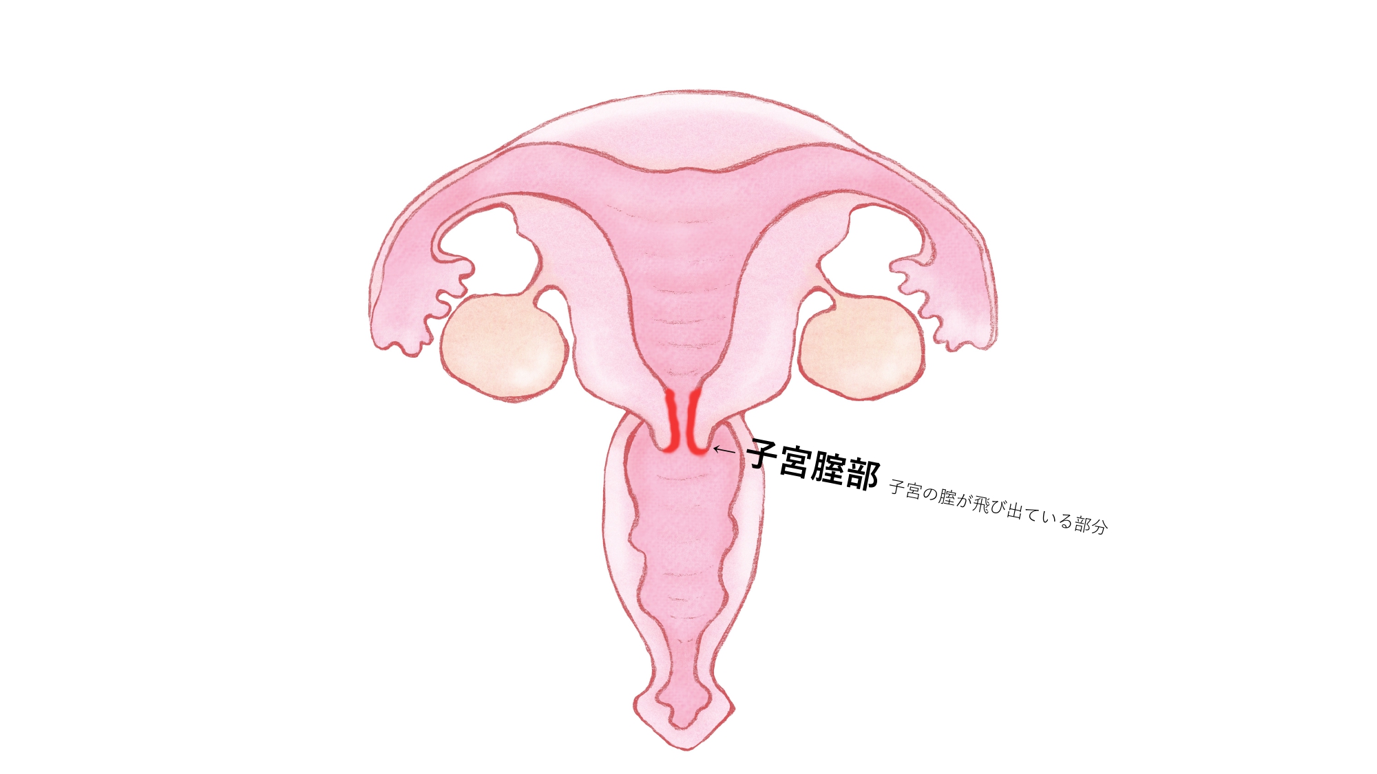 性交体位はどんな種類がある？体位を変えるメリットとは - 藤東クリニックお悩みコラム