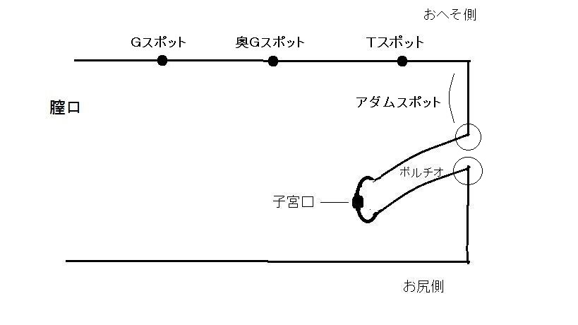 【本当は教えたくない】女性を絶対に中イキさせる方法を現役医師が教えます！