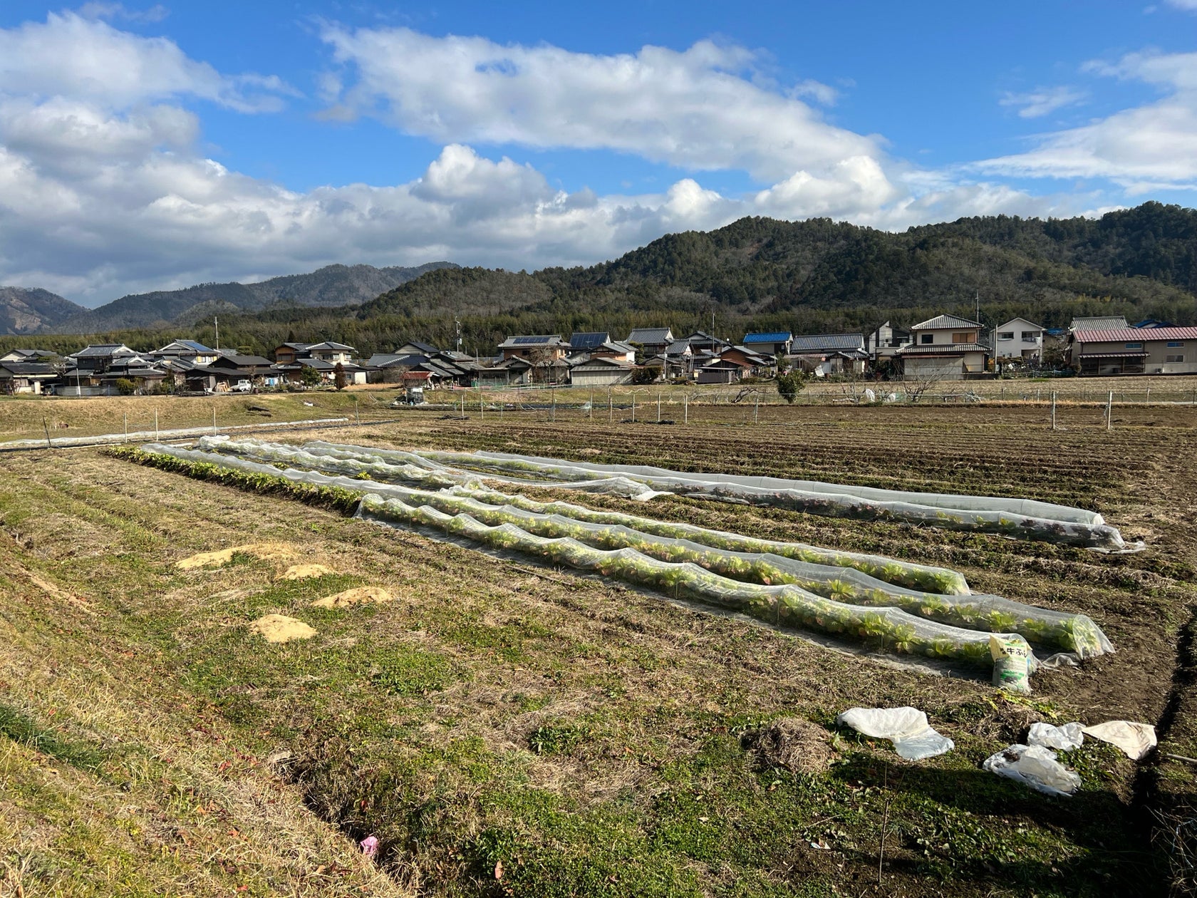 ガイド】本日発売『』 さんの最新刊✨“中に入っておいしいものを味わえる.. |