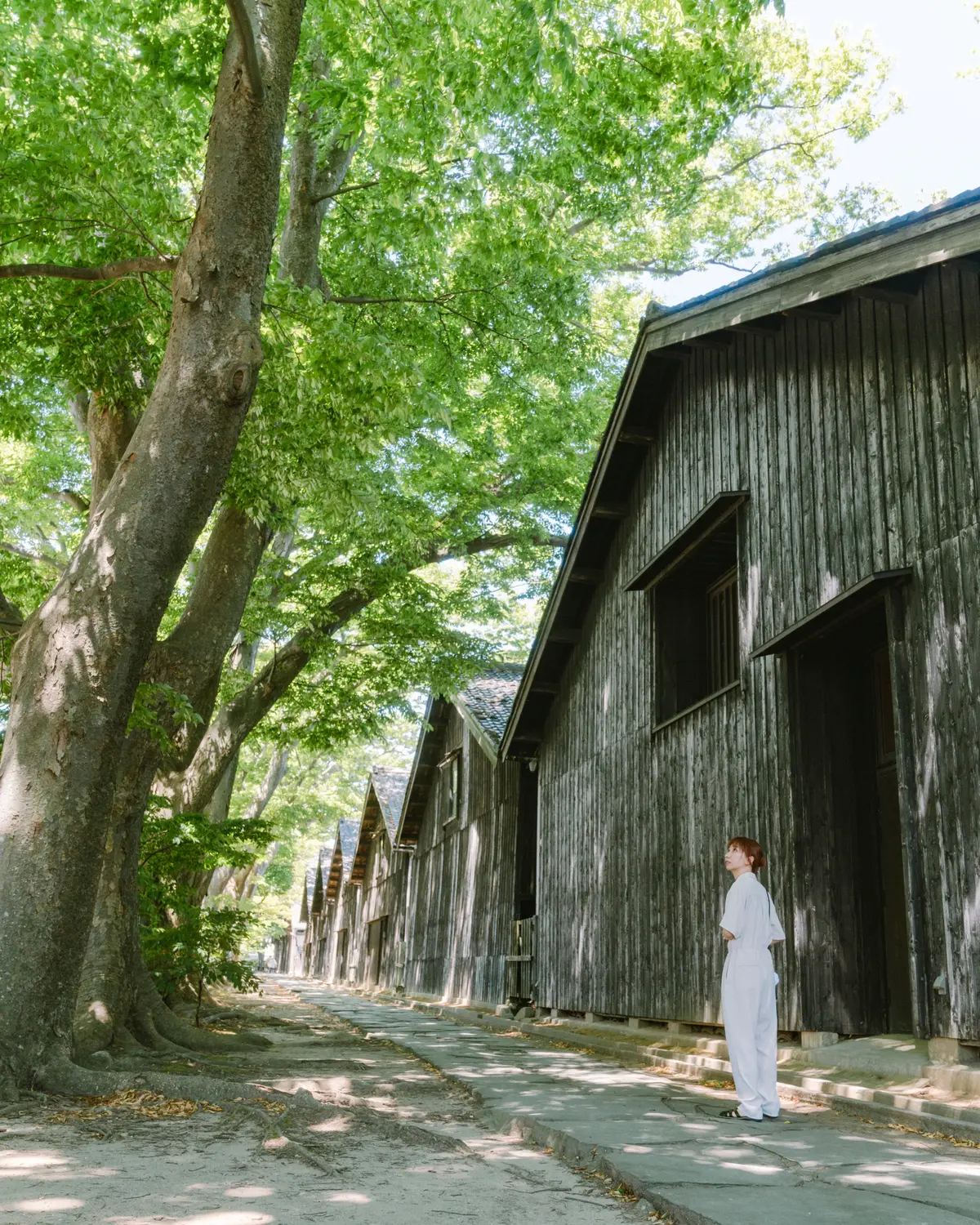 酒田東病院 公式サイト ｜ 地域の期待に応えられる精神科医療を