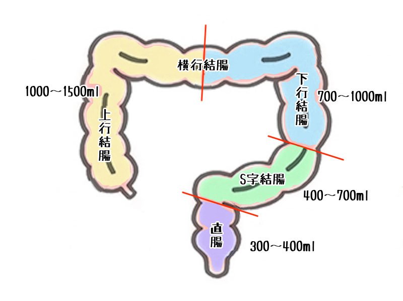 胸チラ】人妻さん神回！浮きブラ全開で胸チラ！【救命講習31】｜PALPIS（パルピス）