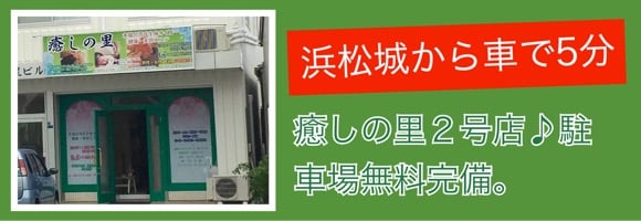 2024年最新］浜松・浜名湖・掛川おすすめ観光名所54選！定番から穴場まで