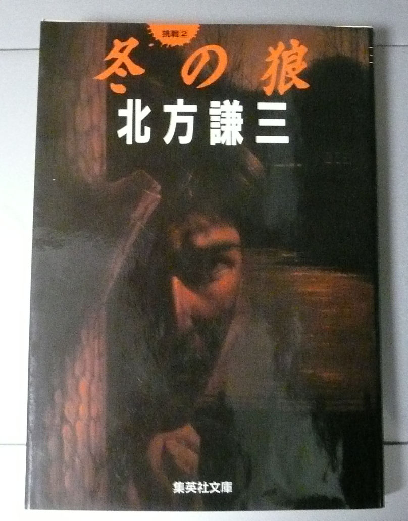 大判シフォンスカーフ 写真家 水野克比古作品 京都