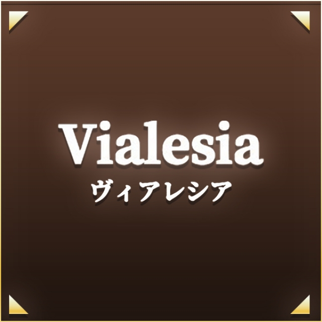 Vialesia (ヴィアレシア) 佐野 の口コミ・評価｜メンズエステの評判【チョイエス】