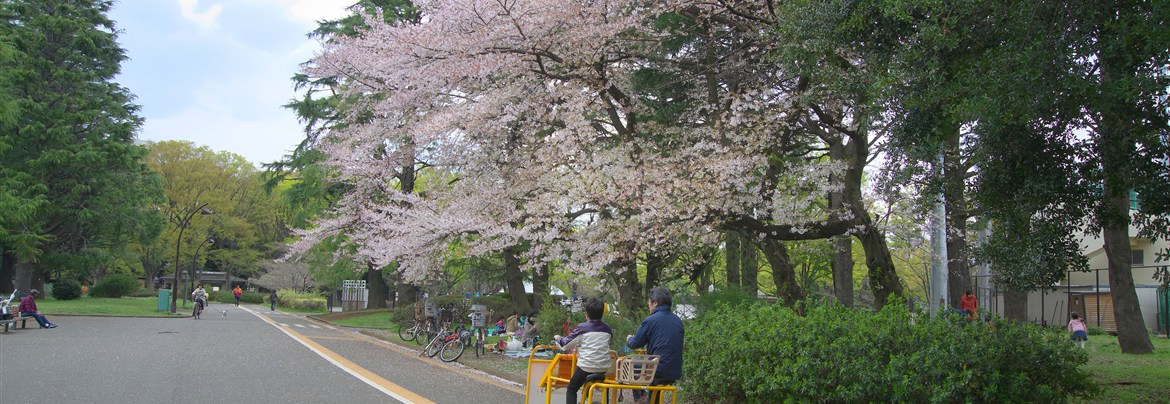 Moco八幡山