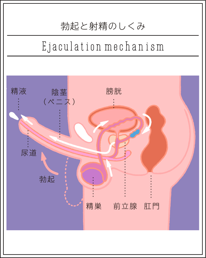 おとといエッチを覚えたばかりのウブなJ〇がローション素股体験！スカートの中でピチパン越しにデカチンの先っぽ3cmを挿入 されて敏感な膣口を刺激された素人娘はデカチンをこっそり自分からナマ挿入！子宮直撃の激ピスで未知なGスポットを貫かれハメ潮！潮！中出し合計10 