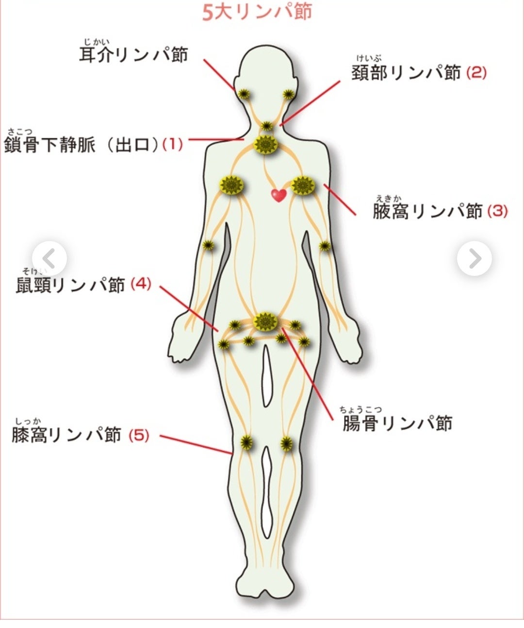 田中 成征/リンパドレナージュ/タイ古式マッサージ/メンズセラピスト | 他では味わえない施術をランコントで受けてみませんか🥳 #リンパマッサージ