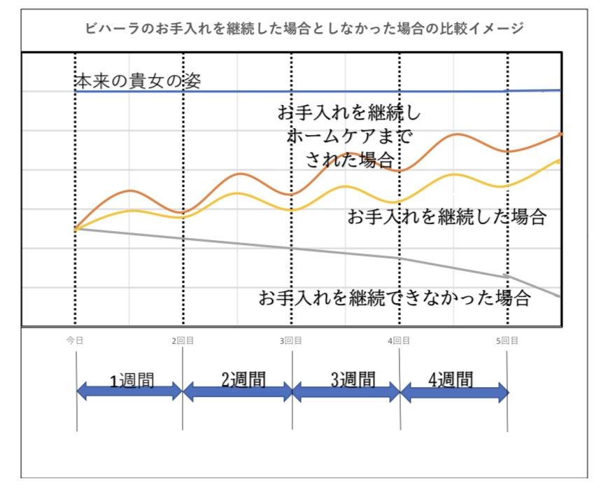 リンパマッサージ | 北九州市のエステサロン・エステスクール「リンパ専門サロン【COCOA】」