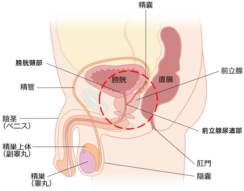 初デビュー】60秒間潮吹きっぱなし！19歳が男の手と口でイかされる！ FC2-PPV-2866616