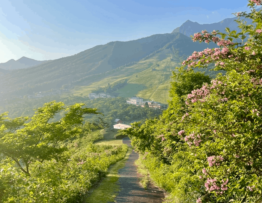 大山のお宿に泊まってもらおう大作戦】 vol9:大山・山の家シーハイル～｜トマシバ～泊まれる芝畑～