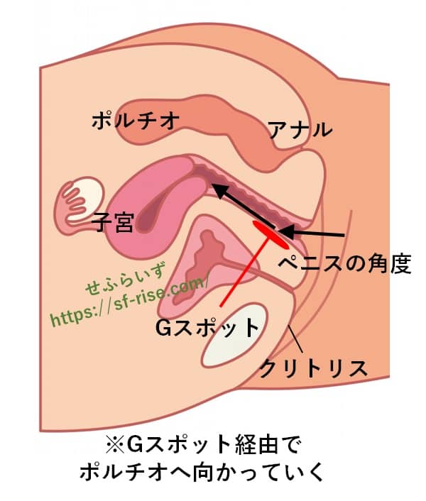 セックスが痛いのはなぜ？その対策と予防や痛みが出る原因を徹底解説 | コラム一覧｜ 