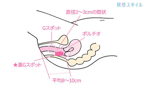 気持ちいいアナルセックスのやり方とは？女性の体験談（感想）や開発のコツ等も紹介【快感スタイル】