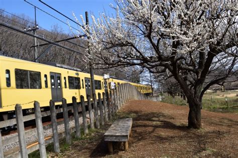 上野/御徒町/湯島 店長・幹部候補求人【ポケパラスタッフ求人】