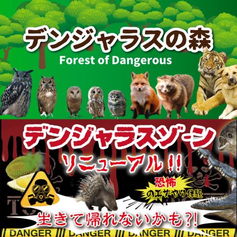 超体験型動物園「ノースサファリサッポロ」が日本一危険と話題!?【札幌】 - LIVE JAPAN