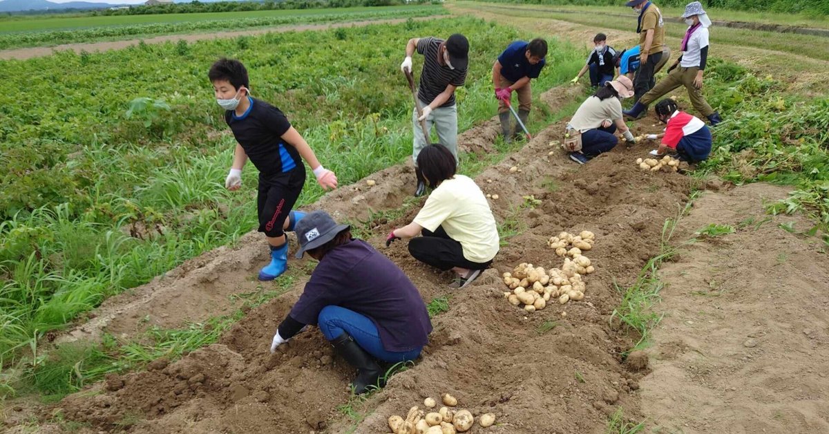 松橋ルカが恋人に求める条件順位