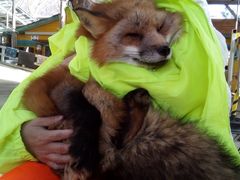 宮城県鳥の海・亘理荒浜港 きくしん丸の釣果詳細|釣果・施設情報|釣りビジョン