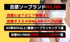 地元民＆旅行客必見】高知でおすすめのNSできるソープ3選！ - 風俗おすすめ人気店情報