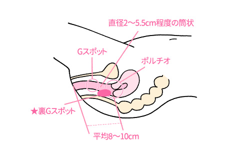 シリーズ「美しい女の初アナルセックス」の画像20枚をまとめてみました - エロプル