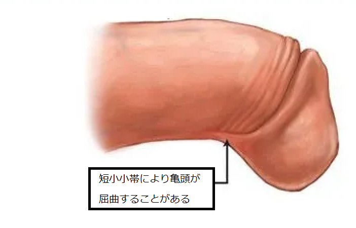 【無修正】20代男子 短小チンポがオシッコを噴水のように噴き上げる 日本人