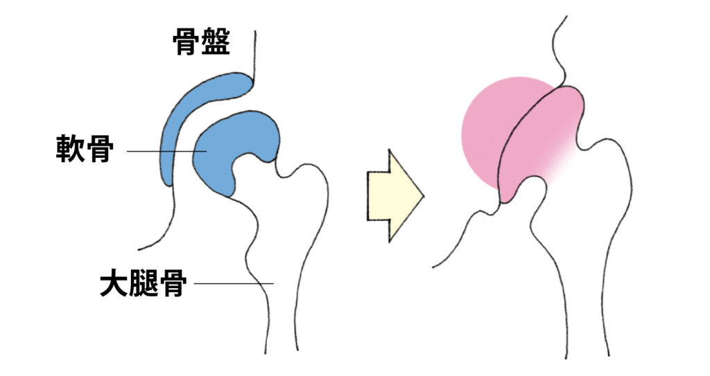 豊島区で子どもと暮らす｜東京都【アットホーム タウンライブラリー】