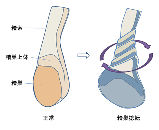 また中国のキンタマ自慢か！？今度は7台の車をキンタマで引っ張る男が出現！ – edamame.