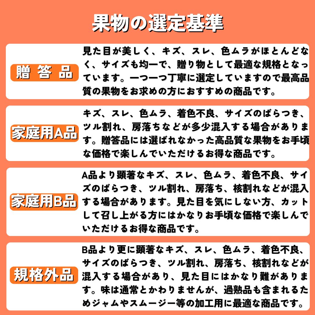 【家庭用】白桃(品種おまかせ) 約2.8kg(5-14玉) 8月上旬頃発送